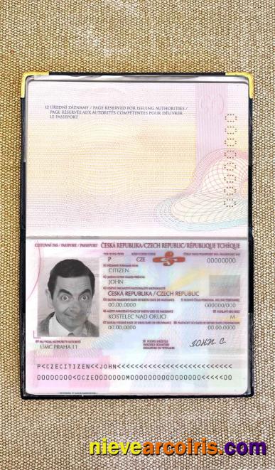 Czechia passport photolook